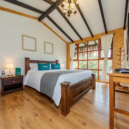Ayenda Llanogrande Inn Rionegro Kültér fotó