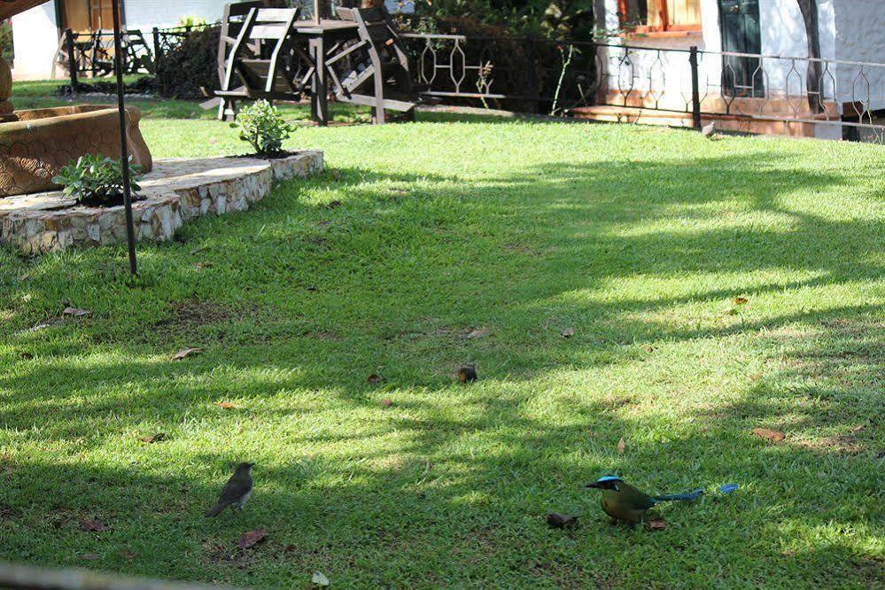 Ayenda Llanogrande Inn Rionegro Kültér fotó